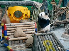 -灵玲国际马戏城