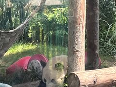 -大连森林动物园