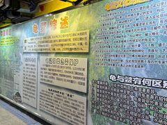 -上海大自然野生昆虫馆