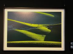 -罗红摄影艺术馆