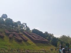 -云南野生动物园
