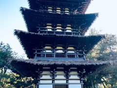 -北京世界公园