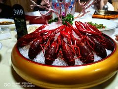 冰镇龙虾-张鸟园农家乐(张鸟园店)
