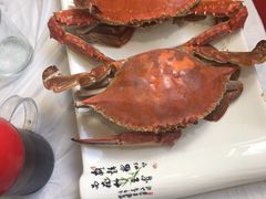 -宾朋海鲜美食特色餐厅·纯手工鲅鱼水饺(兴海路店)