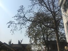 -伦教678文化街