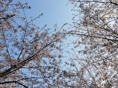 -江南大学(蠡湖校区)