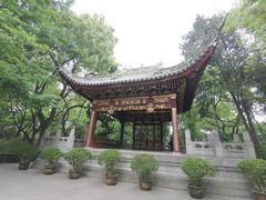 -汇龙潭