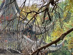 -西园戒幢律寺