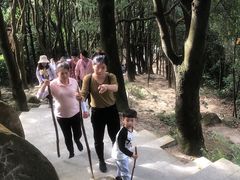 -火炉山森林公园