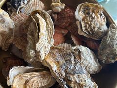 生蚝扇贝-老家黄墩饭店