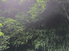 -海口火山口国家地质公园