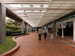 -香港大学