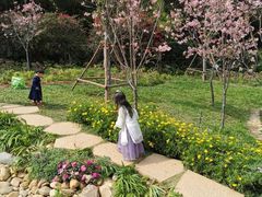 -狐尾山公园