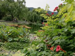 -国家植物园南园