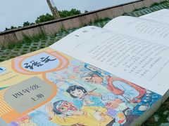 -观潮胜地公园