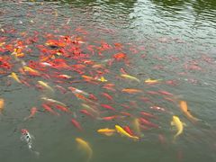 -狼山风景名胜区