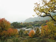 -塔川景区