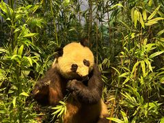 -陕西自然博物馆