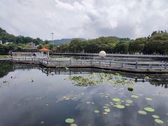 -红山村