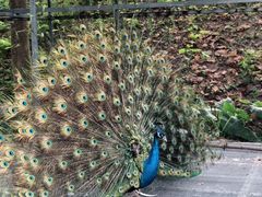 -福建鲤鱼洲酒店