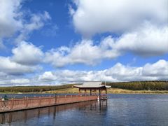 -塞罕坝国家级自然保护区