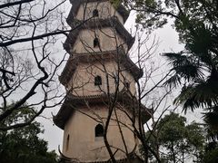 -江心屿景区