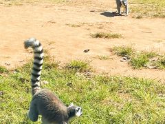 -秦皇岛野生动物园