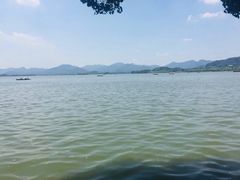 -西湖外事游船(花港观鱼码头)