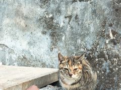 -广州市紫泥堂文化创意园景区