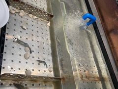 -千滋百味自助海鲜烤肉(布吉景华店)