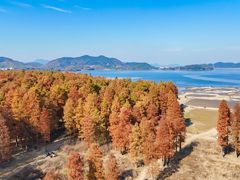 -四明山国家森林公园
