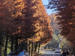 -南京市无想山景区