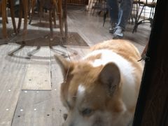 -肥朵食堂(带梦胡同店)