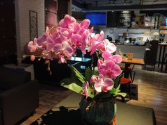 -JINNS锦时 steak&pizza(浸信会礼拜堂旧址店)