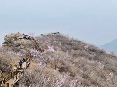 -大岭沟猕猴桃谷风景区