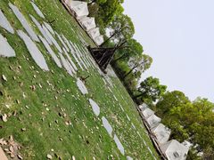 -不觉晓CAMPING(上海迪士尼营地店)