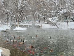 -水磨沟公园