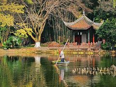 -望江楼公园