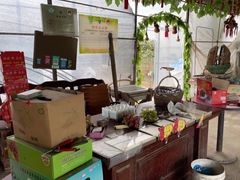 -马陆小张葡萄园农家乐