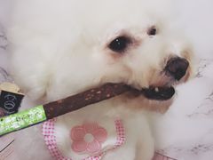 -快乐爱斯米牛排自助(太原街万达店)