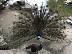 -南昌动物园