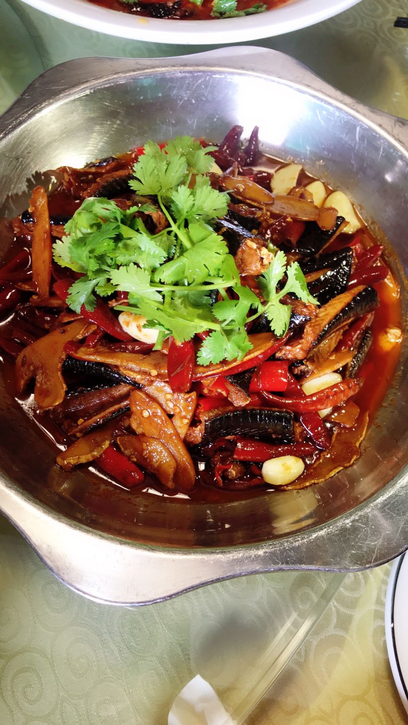 吃蛇吃蛇,我最爱的宁乡口味蛇.-长沙吃喝玩乐-大众点评社区