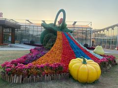 -东南花都花博园