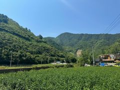 -雅鲁激流探险漂流