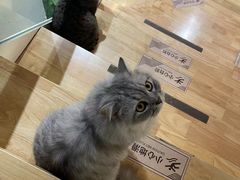 -南枝小馆(银鱼巷店)