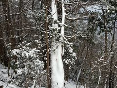 -安吉龙王山风景区