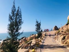 -广东惠东海龟国家级自然保护区