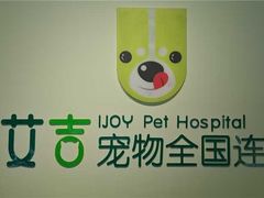 -艾吉宠物医院·疑难杂症转诊中心·猫友好(碧江路院)