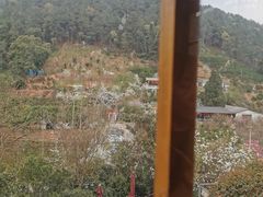 -楠柏弯休闲山庄(梨花溪店)