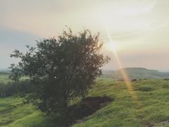 -恋山坝上草原